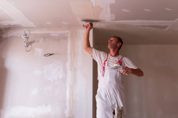 Best Ceiling Drywall Installation  in Felton, DE